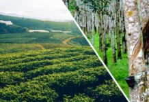 ഭൂ ഉടമകള്ക്കെല്ലാം ‘ലാന്ഡ് കാര്ഡ്’ നല്കാന് കേരളം