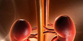 ഭയപ്പെടുത്തും യൂറിക് ആസിഡിലെ ചെറിയ മാറ്റം പോലും