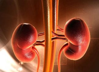 ഭയപ്പെടുത്തും യൂറിക് ആസിഡിലെ ചെറിയ മാറ്റം പോലും