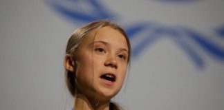 ഗ്രേറ്റാ ട്യൂൻ ബർഗിന് ഇന്ന് പതിനേഴാം ജന്മദിനം