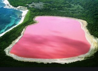 പടിഞ്ഞാറൻ ഓസ്ട്രേലിയയിൽ പസിഫിക് സമുദ്രത്തിൻറെ അടുത്തായി പിങ്ക് തടാകം; അപൂർവ പ്രതിഭാസത്തിനു പിന്നിൽ?