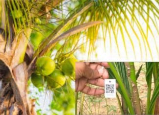 เดคเตเดเตเดเดฟเดจเตโ เดคเตเดเดณเตโเดเตเดเตเด เดเตเดฏเต.เดเดฐเตโ เดเตเดกเต