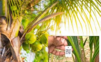 തെങ്ങിന് തൈകള്ക്കും ക്യൂ.ആര് കോഡ്