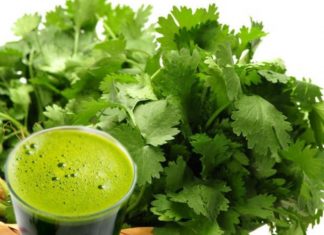 കുടവയറിനെ ഇല്ലാതാക്കും മല്ലിയില മിശ്രിതം