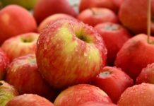 ആപ്പിൾ തൊലികളിൽ എന്തെല്ലാം ഗുണങ്ങൾ..