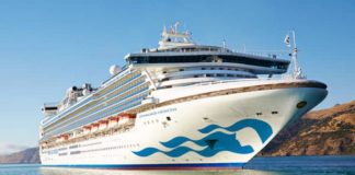 ആഡംബരക്കപ്പലായ ഡയമണ്ട് പ്രിന്സസ് ക്രൂയിസിലെ 10 വിനോദ സഞ്ചാരികള്ക്ക് കൊറോണ; കപ്പല് തുറമുഖത്ത് പിടിച്ചിട്ടു