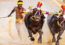 ബോള്ട്ടിന് ചെളിയില് വേഗത്തില് ഓടാനാകില്ല. അതുപോലെ തനിക്ക് ട്രാക്കിലും വേഗത്തില് ഓടാനാകില്ല; ശ്രീനിവാസ ഗൗഡ