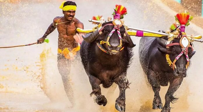 ബോള്ട്ടിന് ചെളിയില് വേഗത്തില് ഓടാനാകില്ല. അതുപോലെ തനിക്ക് ട്രാക്കിലും വേഗത്തില് ഓടാനാകില്ല; ശ്രീനിവാസ ഗൗഡ