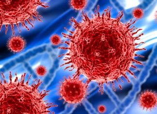 കൊറോണ; അറിഞ്ഞിരിക്കാം ഈ കാര്യങ്ങൾ