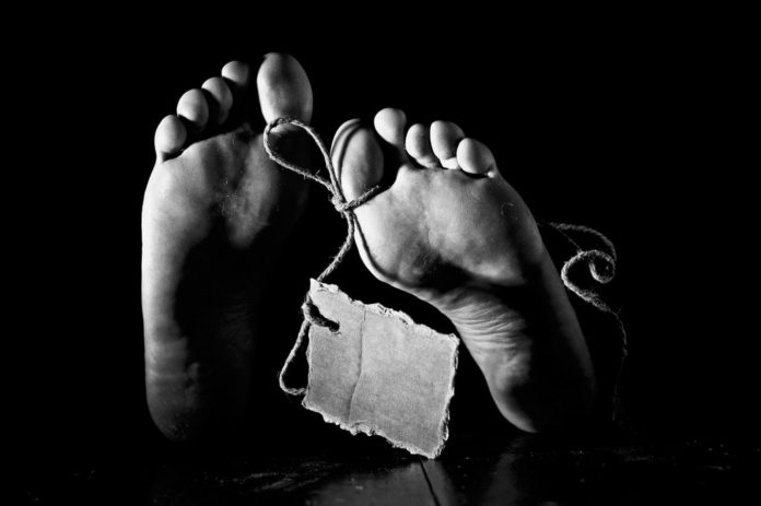 2018_04_05_43469_1522927881._large_1024_681