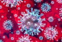 നിങ്ങളുടെ blood group ഏതാണ്? കൊറോണ വൈറസ് രക്ത ഗ്രൂപ്പ് നോക്കി ആക്രമണം നടത്തുന്നു എന്ന് റിപ്പോർട്ട്