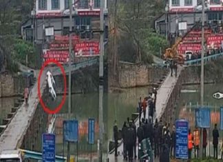 ഡ്രൈവിംഗ് ലൈസന്സ് കിട്ടിയ സന്തോഷത്തില് കാറില് പറന്ന യുവാവ് ചെന്നുവീണത് പുഴയില്