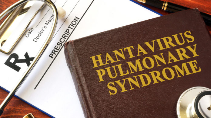 MW-IC918_hantav_20200324101241_ZG