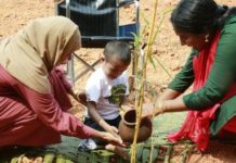 തീവ്രചലന പരിമിതിയുള്ള ഭിന്നശേഷി കുട്ടികളുടെ ജൈവ വൈവിധ്യ ചെറുവനം’പച്ചിലക്കാട്’ പദ്ധതിക്ക് തുടക്കമായി