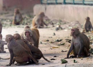 เดเดจเตเดคเดพเดฃเต เดเตเดฐเดเตเดเตเดชเดจเดฟ?๏ปฟ เด
เดฑเดฟเดเตเดเดฟเดฐเดฟเดเตเดเดพเด เด เดเดพเดฐเตเดฏเดเตเดเตพ