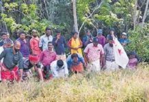 ലോക്ക്ഡൗൺ നിയന്ത്രണങ്ങൾ ലംഘിച്ച് ഡിവൈഎഫ്ഐയുടെ നേതൃത്വത്തിൽ കൊയ്ത്തുത്സവം; 10 പേർ അറസ്റ്റിൽ
