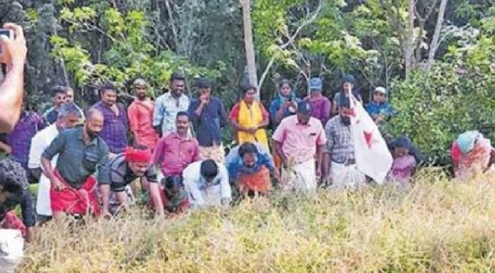 ലോക്ക്ഡൗൺ നിയന്ത്രണങ്ങൾ ലംഘിച്ച് ഡിവൈഎഫ്ഐയുടെ നേതൃത്വത്തിൽ കൊയ്ത്തുത്സവം; 10 പേർ അറസ്റ്റിൽ