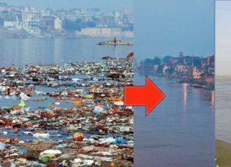 ലോക്ക്ഡൗണ്; ഗംഗാ നദിയിലെ മാലിന്യത്തിന്റെ അംശം ഗണ്യമായി കുറഞ്ഞു