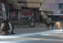 ലോക്ക് ഡൗണിലെ ദയനീയമായ കാഴ്ച; റോഡിൽ ഒഴുകിയ പാൽ ശേഖരിക്കുന്ന മനുഷ്യൻ; ഒപ്പം അത് കുടിക്കാനെത്തിയ നായകളും
