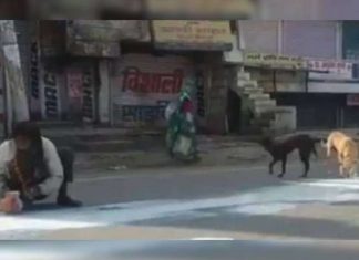 ലോക്ക് ഡൗണിലെ ദയനീയമായ കാഴ്ച; റോഡിൽ ഒഴുകിയ പാൽ ശേഖരിക്കുന്ന മനുഷ്യൻ; ഒപ്പം അത് കുടിക്കാനെത്തിയ നായകളും