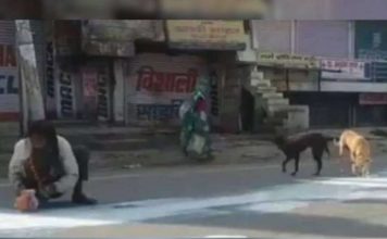 ലോക്ക് ഡൗണിലെ ദയനീയമായ കാഴ്ച; റോഡിൽ ഒഴുകിയ പാൽ ശേഖരിക്കുന്ന മനുഷ്യൻ; ഒപ്പം അത് കുടിക്കാനെത്തിയ നായകളും