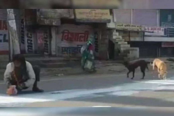 New-Project-3-14_1024_682