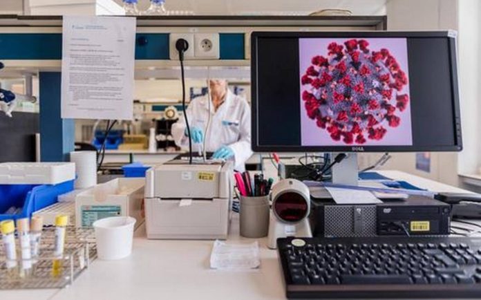 corona-6--Bloomberg--corona-germjpg_1024_639