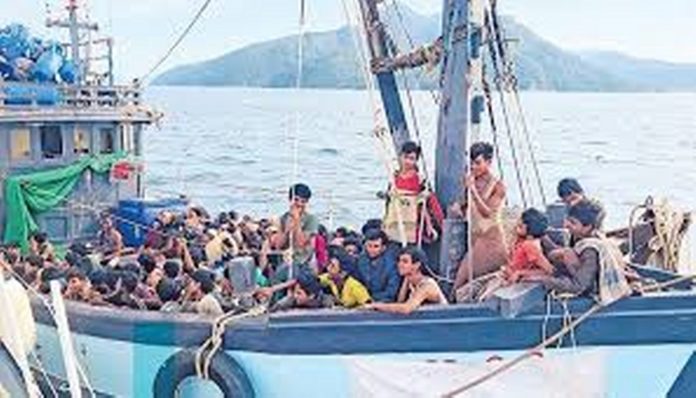 download (1)_1024_586