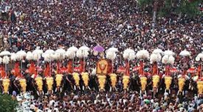 കൊവിഡ് 19 വ്യാപിക്കുന്ന പശ്ചാത്തലത്തില് ഈ വര്ഷത്തെ തൃശൂര്പൂരം ചടങ്ങുകളില് മാത്രം ഒതുങ്ങും