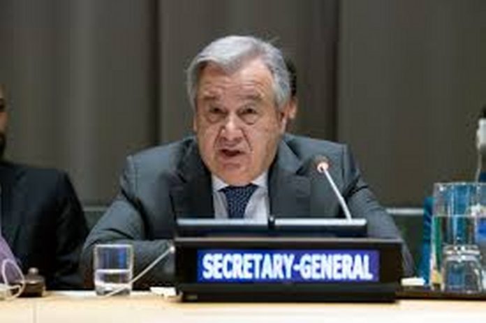 download (4)_1024_681