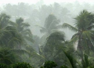 സംസ്ഥാനത്ത് വരും ദിവസങ്ങളില് ശക്തമായ മഴയ്ക്ക് സാധ്യതയെന്ന് കേന്ദ്ര കാലാവസ്ഥ നിരീക്ഷണ കേന്ദ്രം