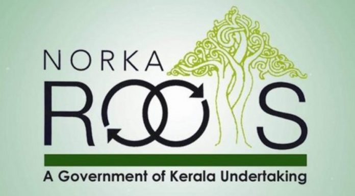 കോവിഡ്– 19; പ്രവാസികൾക്ക് പ്രഖ്യാപിച്ച ധനസഹായ പദ്ധതികൾക്കുള്ള ഓൺലൈൻ അപേക്ഷ ശനിയാഴ്ചമുതൽ സ്വീകരിക്കും