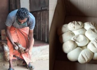 മുട്ടയിടാൻ വ്യത്യസ്തമായ സ്ഥലം കണ്ടുപിടിച്ച് പെരുമ്പാമ്പ്