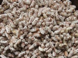 ആരോഗ്യ സംരക്ഷണത്തിന് മലര്വെള്ളം