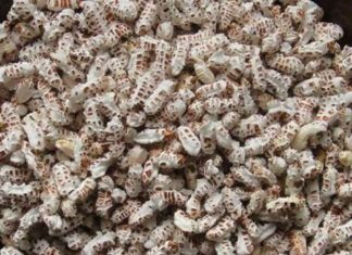 ആരോഗ്യ സംരക്ഷണത്തിന് മലര്വെള്ളം