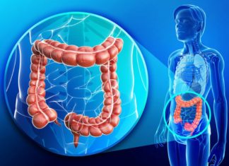 เดตเดจเตโเดเตเดเดฒเตโ เดเดพเดจเตโเดธเดฐเตโ; เด เดญเดเตเดทเดฃเดเตเดเดณเตโ เดตเตเดฃเตเดเตเดจเตเดจเต เดตเตเดเตเดเดพเด