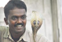 അഞ്ചൽ സ്വദേശി ഉത്രയെ പാമ്പിനെ ഉപയോഗിച്ച് കൊലപ്പെടുത്തിയ കേസിൽ വാവ സുരേഷ് സാക്ഷിയാകുമെന്ന് റിപ്പോർട്ട്