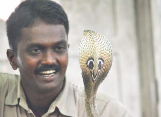 അഞ്ചൽ സ്വദേശി ഉത്രയെ പാമ്പിനെ ഉപയോഗിച്ച് കൊലപ്പെടുത്തിയ കേസിൽ വാവ സുരേഷ് സാക്ഷിയാകുമെന്ന് റിപ്പോർട്ട്
