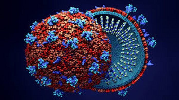 download (10)_1024_573