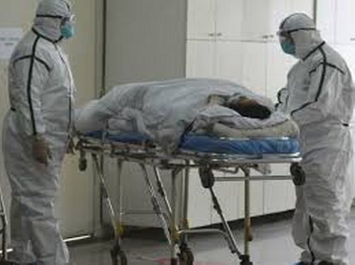 download (2)_1024_767