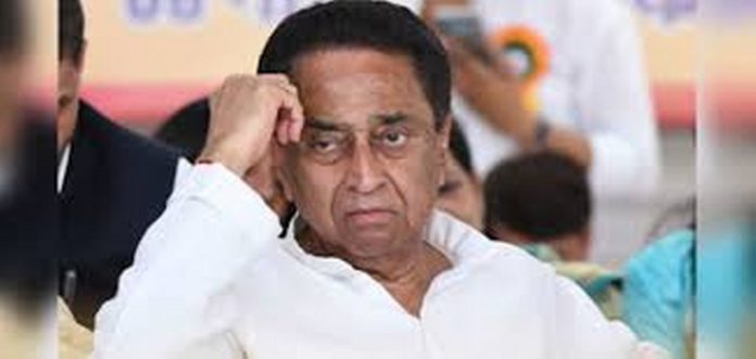 download (6)_1024_487