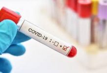 เดกเตฝเดนเดฟเดฏเดฟเตฝ 68 เดธเดฟเดเตผเดชเดฟเดเดซเต เดเดตเดพเดจเตเดฎเดพเตผเดเตเดเต เดเตเดเดฟ เดเตเดฑเตเดฃ เดธเตเดฅเดฟเดฐเตเดเดฐเดฟเดเตเดเต