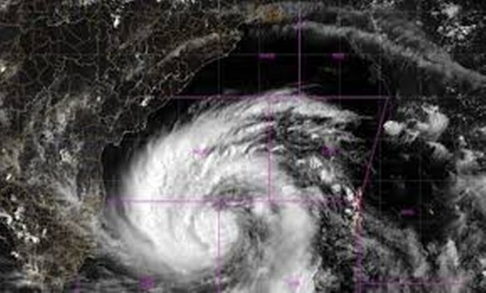 download (8)_1024_617