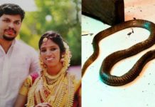 ഉത്രയെ ശാരീരികമായും മാനസികമായും പീഡിപ്പിച്ചിരുന്നെന്നും ഉത്രയെ കൊന്നത് സ്വത്ത് സ്വന്തമാക്കാനാണെന്നും സൂരജ്
