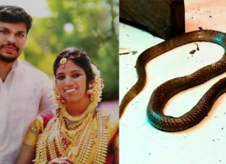ഉത്രയെ ശാരീരികമായും മാനസികമായും പീഡിപ്പിച്ചിരുന്നെന്നും ഉത്രയെ കൊന്നത് സ്വത്ത് സ്വന്തമാക്കാനാണെന്നും സൂരജ്