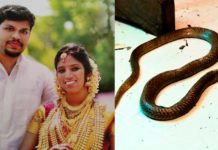 ഉത്രയെ പാമ്പിനെക്കൊണ്ടു കടിപ്പിച്ചു കൊന്നത് ഭാര്യാവീട്ടില് നിന്നു വാങ്ങിയ സ്വത്തെല്ലാം തിരികെ നല്കേണ്ടി വരുമെന്ന ഭയത്തിൽ