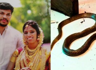ഉത്രയെ പാമ്പിനെക്കൊണ്ടു കടിപ്പിച്ചു കൊന്നത് ഭാര്യാവീട്ടില് നിന്നു വാങ്ങിയ സ്വത്തെല്ലാം തിരികെ നല്കേണ്ടി വരുമെന്ന ഭയത്തിൽ