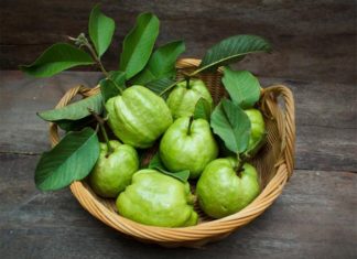 ഹൃദയസംബന്ധ തകരാറുകള് പരിഹരിക്കാന് പേരയ്ക്ക