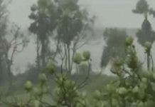 നിസര്ഗ ചുഴലിക്കാറ്റിന്റെ വേഗം കുറഞ്ഞു