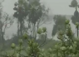 നിസര്ഗ ചുഴലിക്കാറ്റിന്റെ വേഗം കുറഞ്ഞു